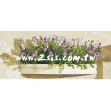 英式洗白橫壁架